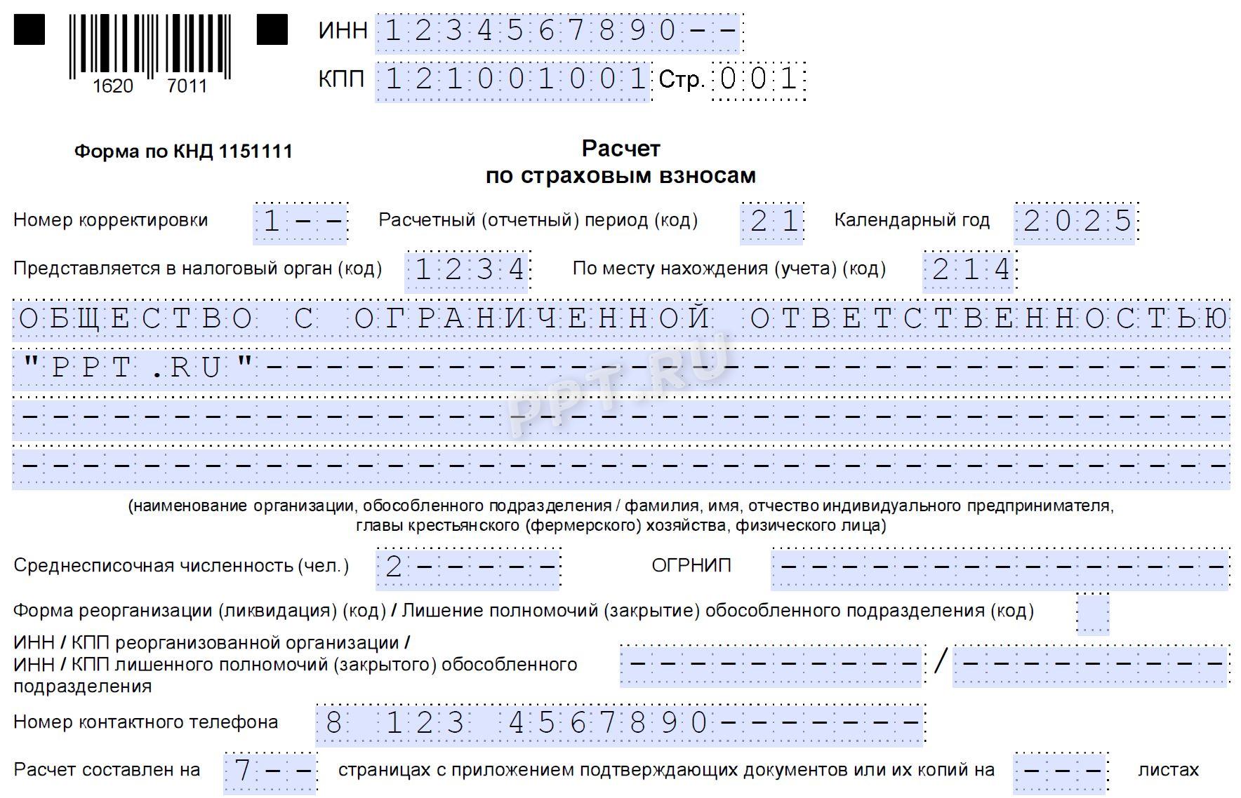 Образец корректировочного РСВ стр. 1 Образец корректировочного РСВ (стр. 1)