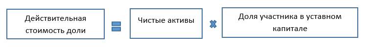 Действительная стоимость доли Действительная стоимость доли