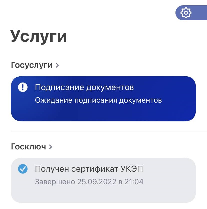 Как подписать заявление на Госуслугах электронной подписью Как подписать заявление на Госуслугах электронной подписью