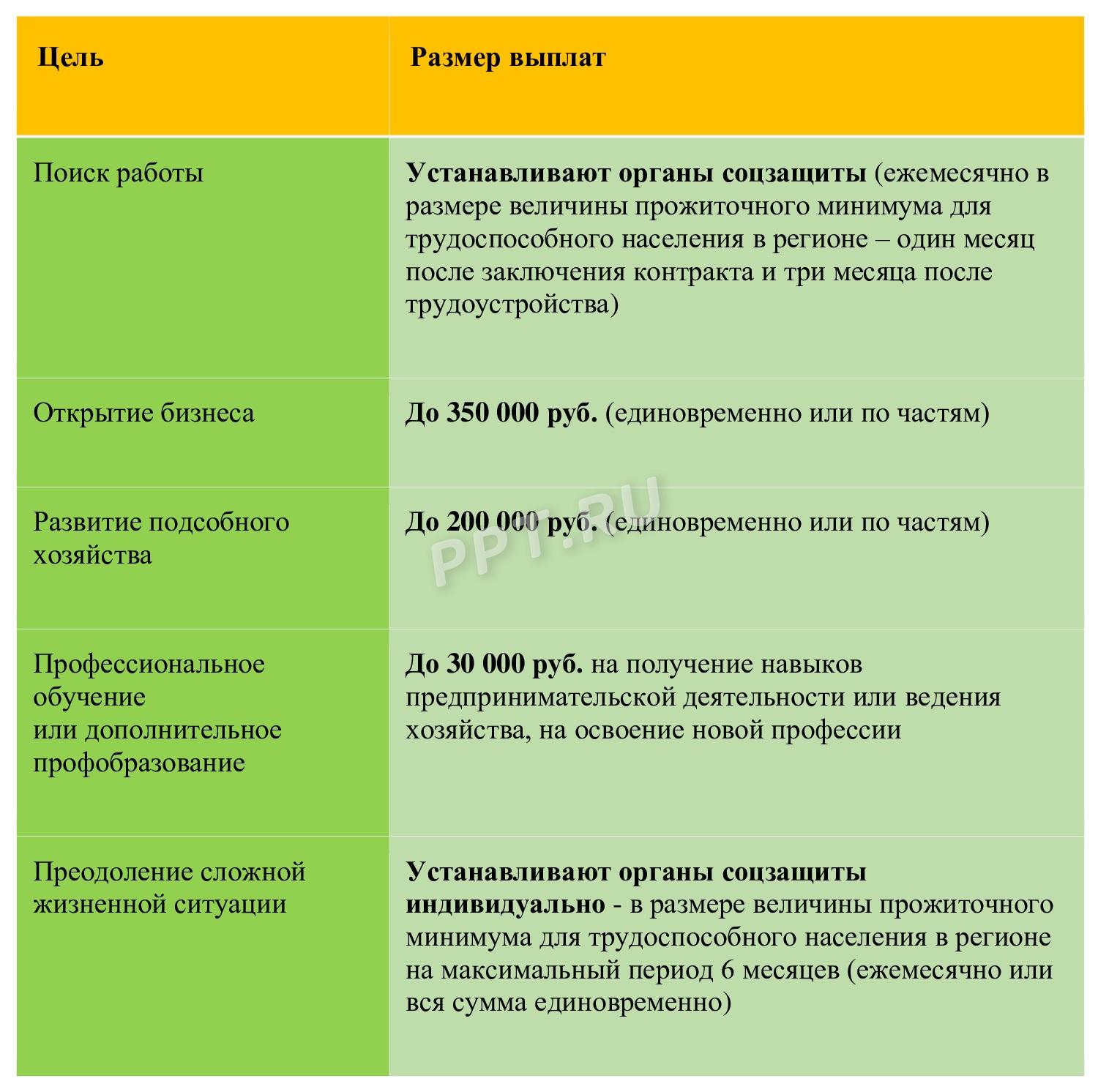На что и сколько денег тратят по социальному контракту На что и сколько денег тратят по социальному контракту