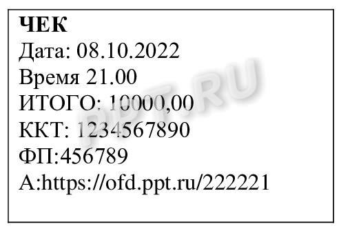 Образец чека, отправленного по СМС Образец чека, отправленного по СМС
