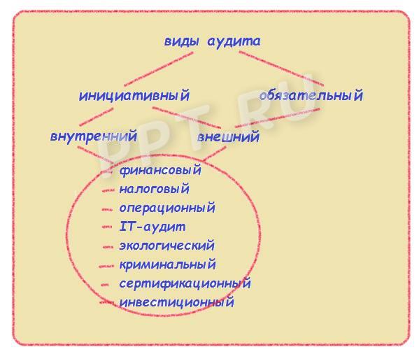Аудиторские проверки Аудиторские проверки