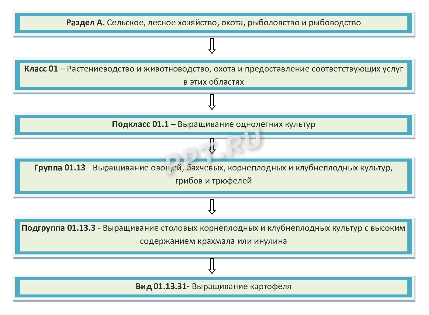 Выбор кода ОКВЭД Выбор кода ОКВЭД