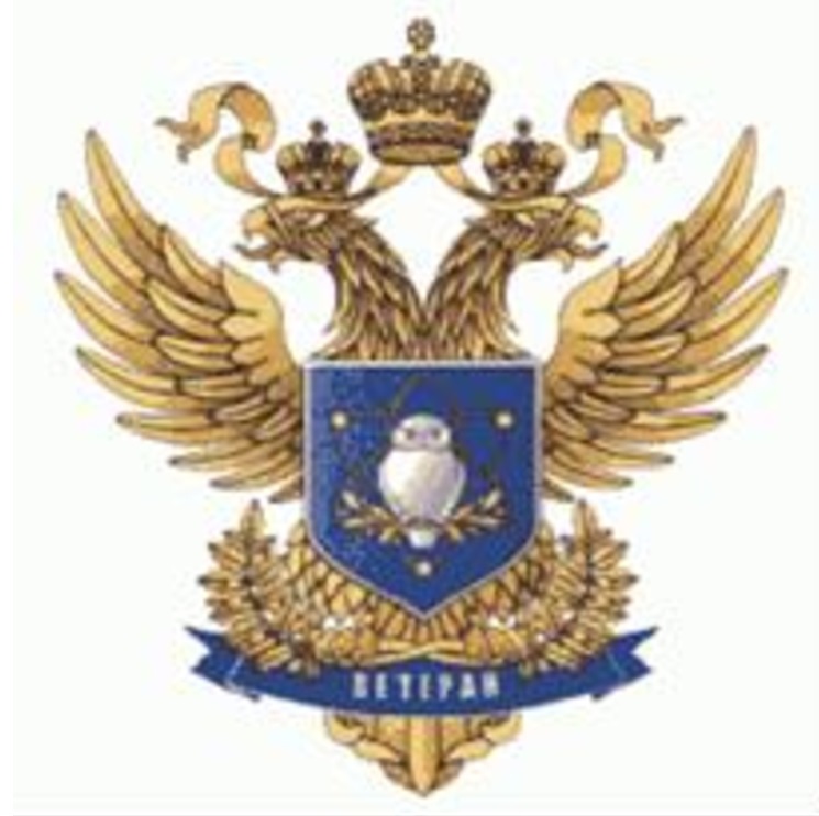 Нагрудный знак «Ветеран» Нагрудный знак «Ветеран»