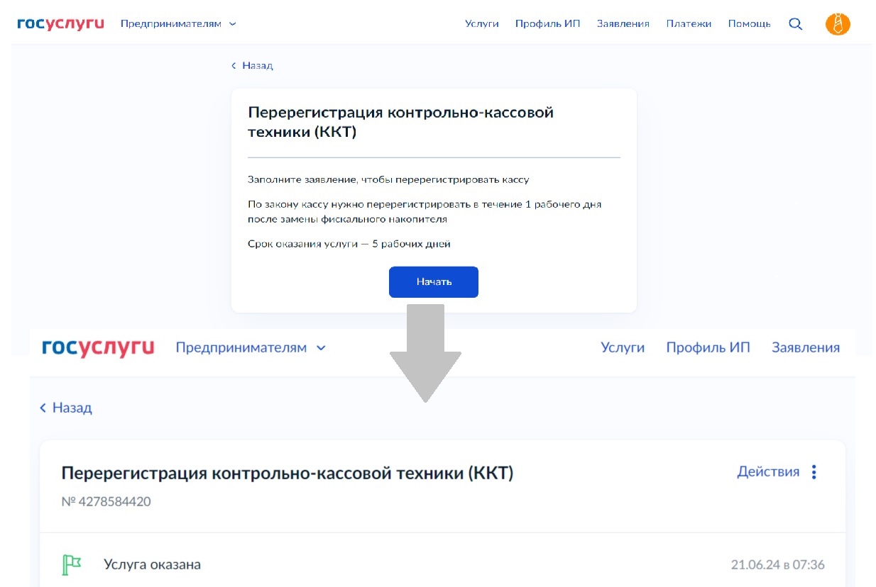 Страницы подачи заявления и результата его обработки Страницы подачи заявления и результат его обработки