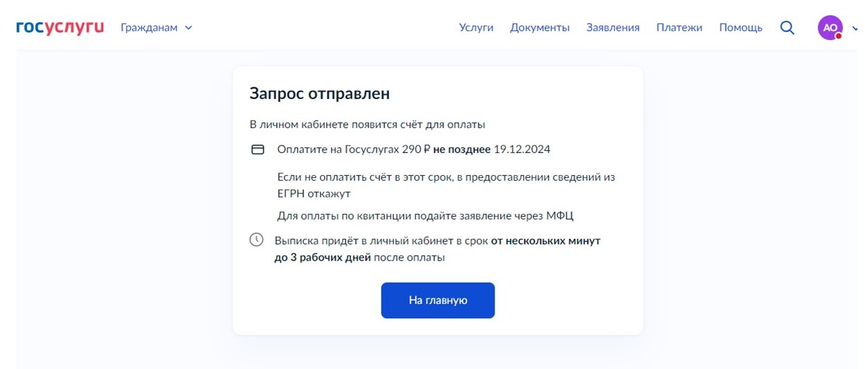 Оформить выписку из ЕГРН через Госуслуги, шаг 9 Оформить выписку из ЕГРН через Госуслуги, шаг 9