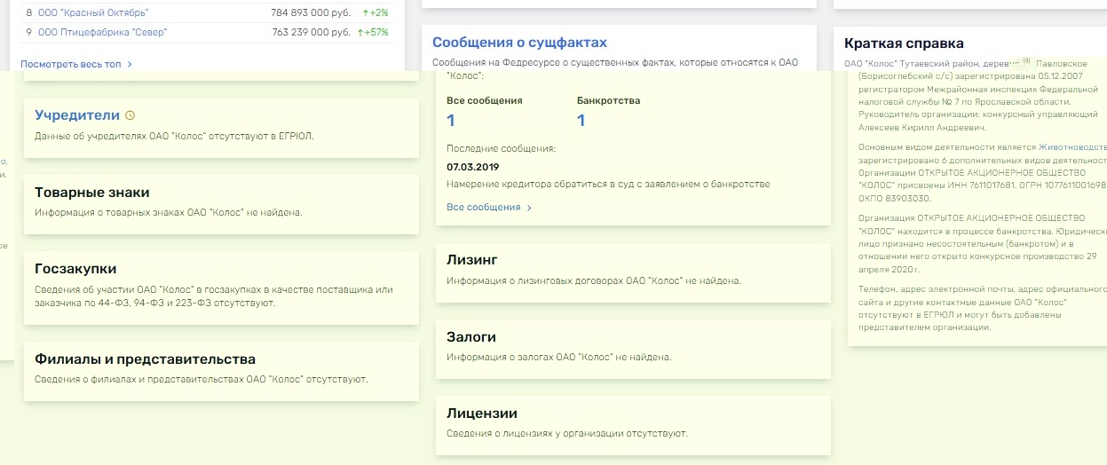 Сведения по деятельности организации из интернета (стр. 4) Сведения по деятельности организации из интернета (стр. 4)