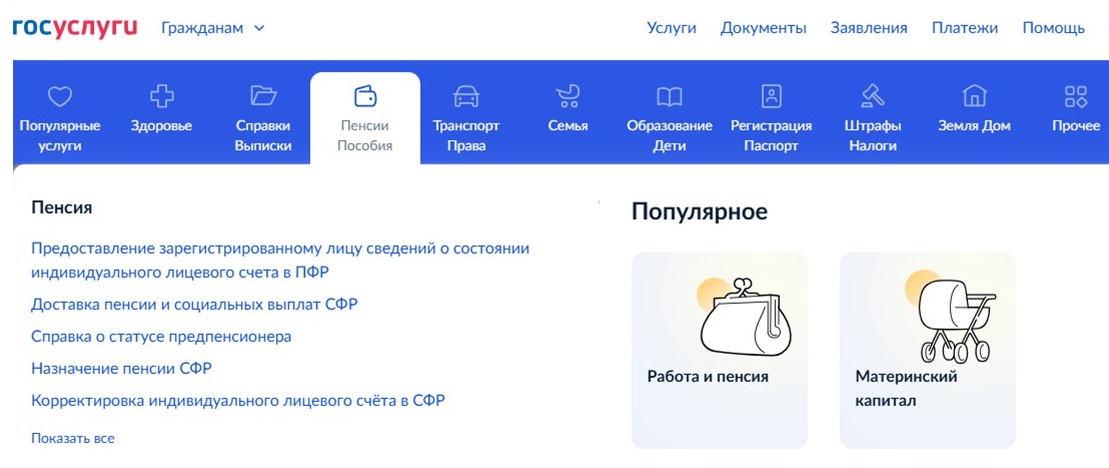 Выписка из ИЛС через Госуслуги Выписка из ИЛС через Госуслуги