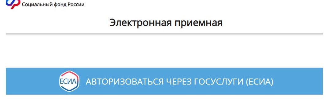 Заказ копии выплатного дела через сайт СФР, шаг 2 Заказ копии выплатного дела через сайт СФР, шаг 2