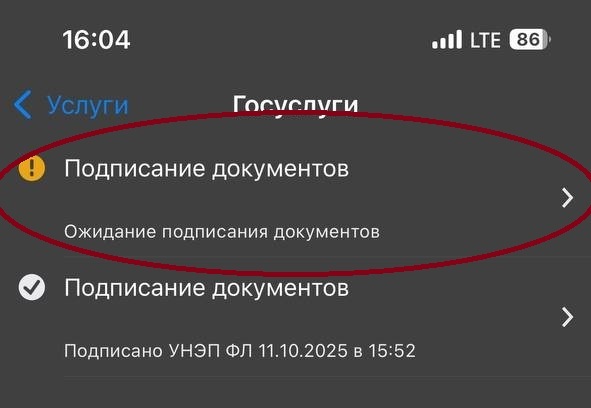 Выбор документа с отказом от уведомления в «Госключе» Выбор документа с отказом от уведомления в «Госключе»