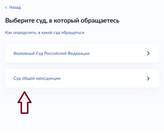 Выбор суда на Госуслугах Выбор суда на Госуслугах