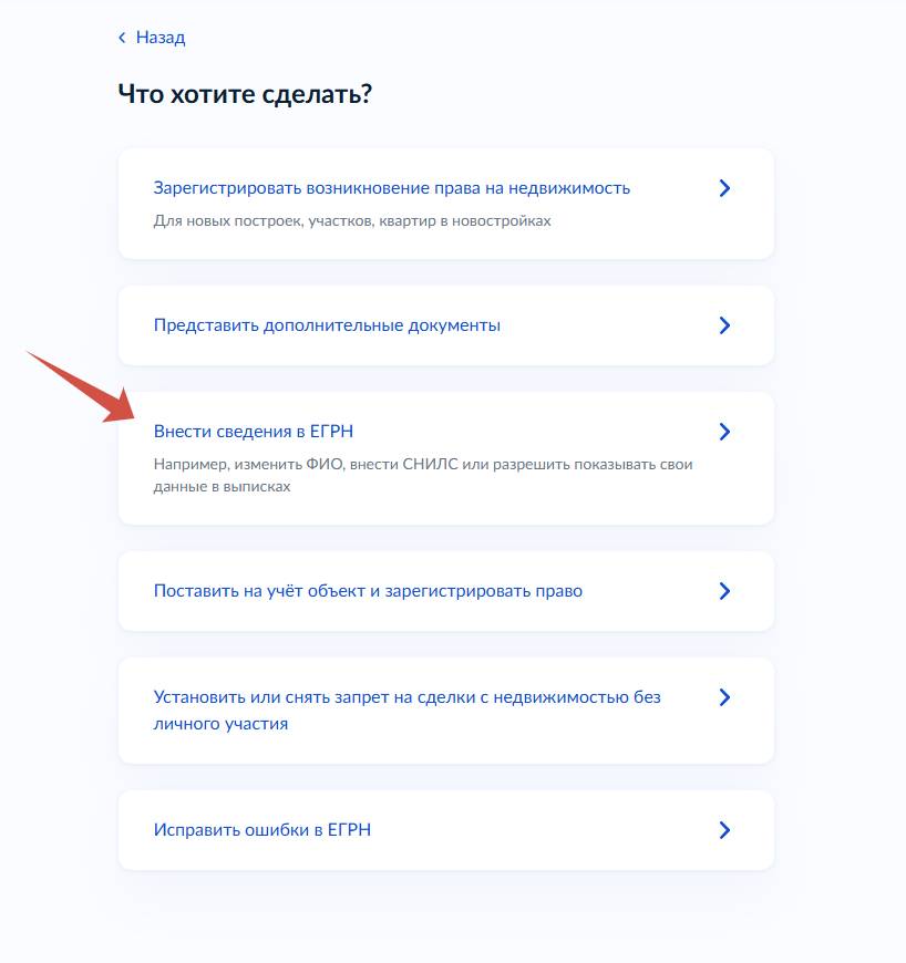 Подача заявления через Госуслуги Подача заявления через Госуслуги